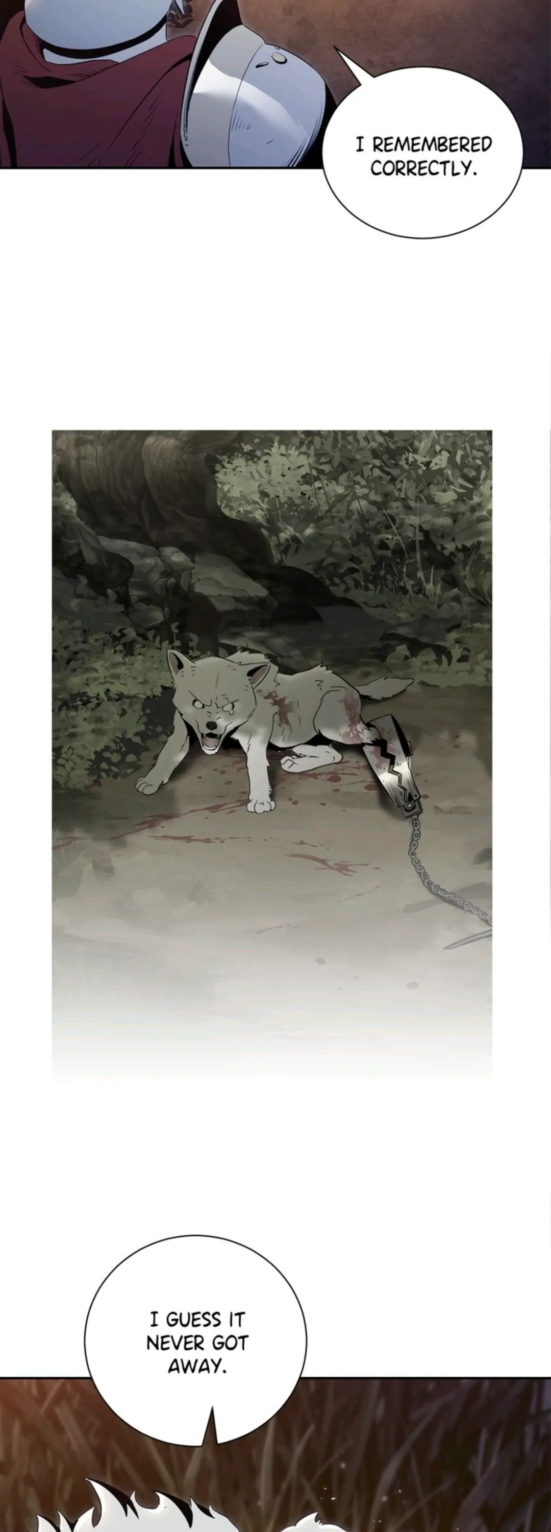 5620123 1080 3000 91312