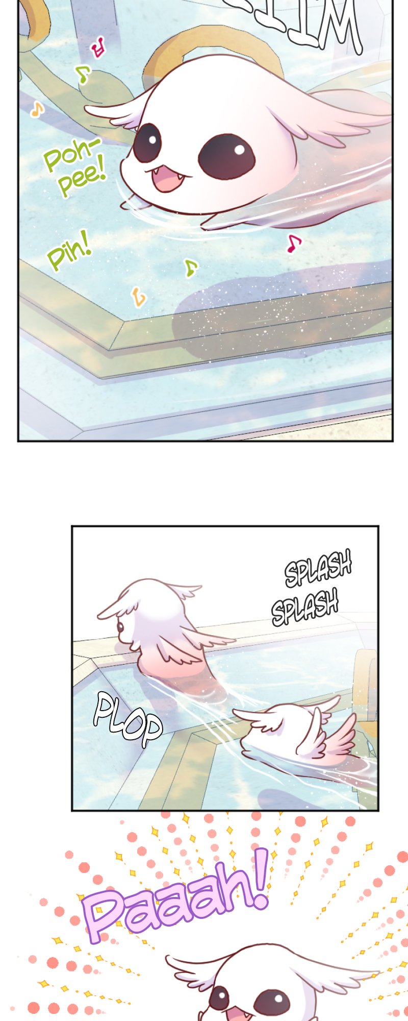 51225933 800 2000 204752